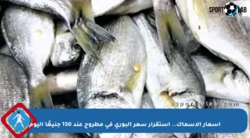 أسعار الأسماك.. استقرار سعر البوري في مطروح عند 150 جنيهًا اليوم